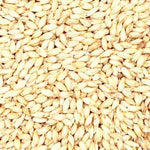 GRAIN - PILSEN MALT - 25KG