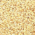 GRAIN - PALE MALT - 25KG